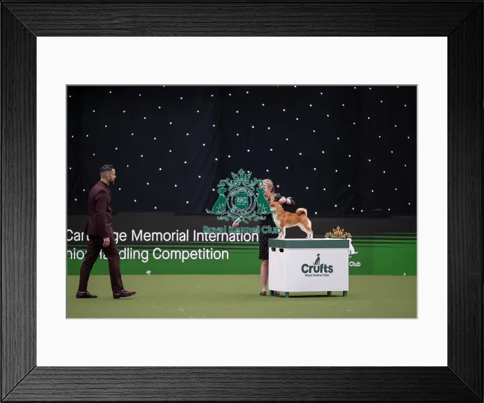 Framed Print : Joe Cartledge International Junior Handling Competition