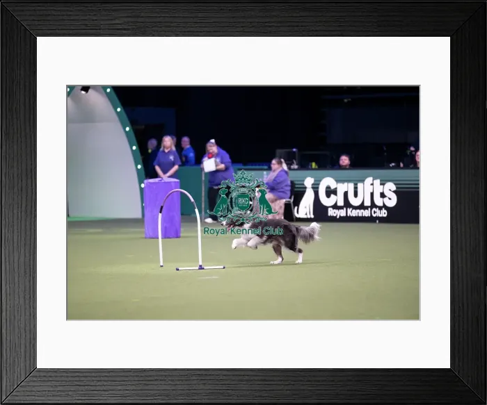 Framed Print : Hoopers Display Framed Print : Hoopers Display