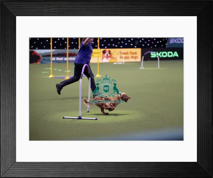 Framed Print : Hoopers Display Framed Print : Hoopers Display
