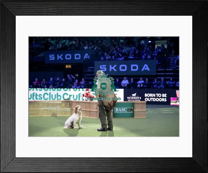 Framed Print : Gundog Display