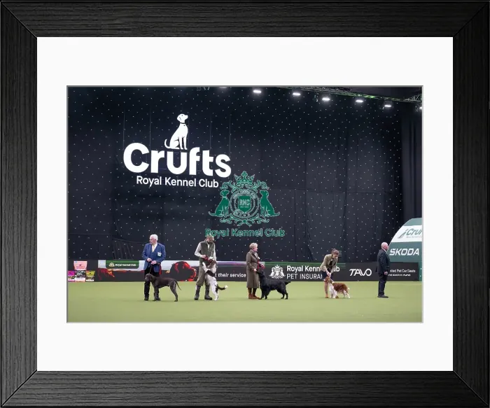 Framed Print : Gamekeepers Competition Final Framed Print : Gamekeepers Competition Final