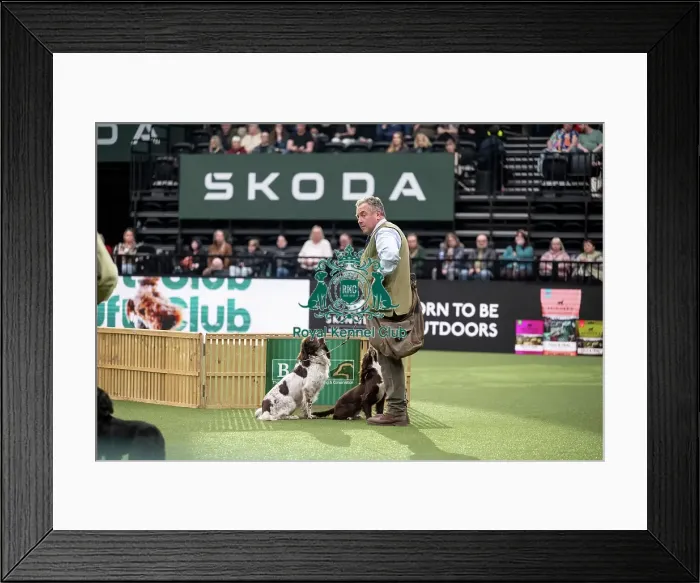 Framed Print : Gundog Display Framed Print : Gundog Display
