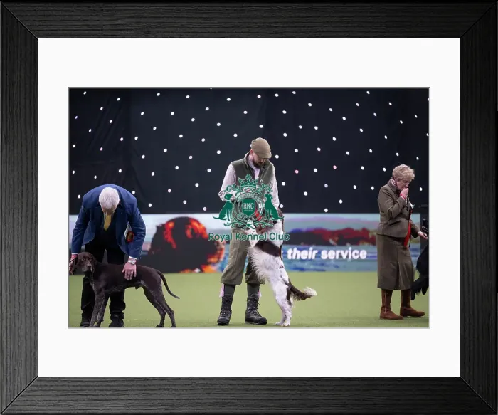 Framed Print : Gamekeepers Competition Final Framed Print : Gamekeepers Competition Final