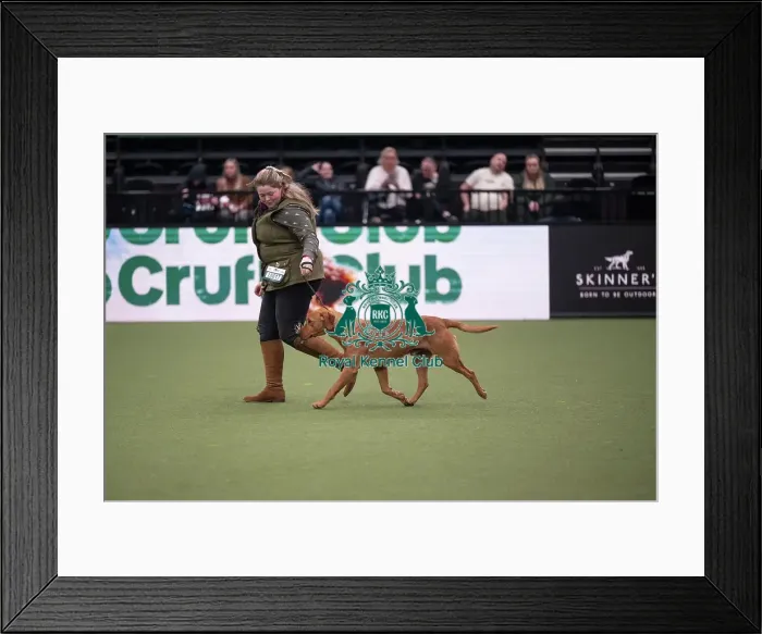 Framed Print : Gamekeepers Competition Final
