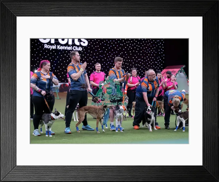 Framed Print : Flyball final