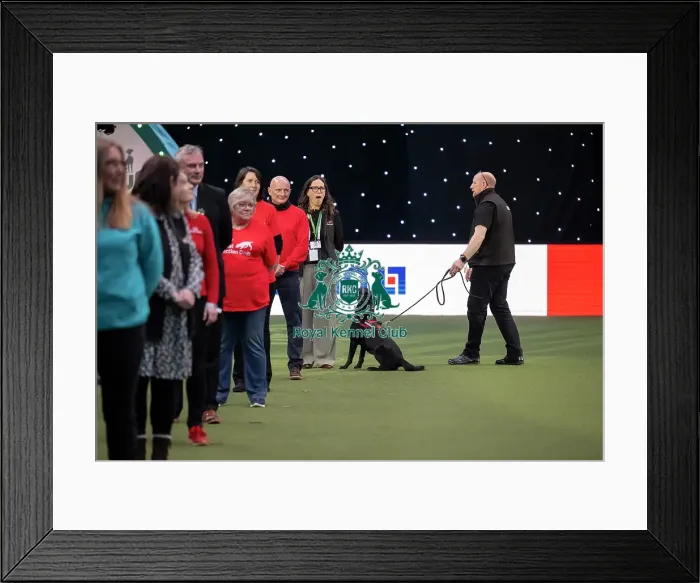 Framed Print : Medical Detection Dog Display Framed Print : Medical Detection Dog Display