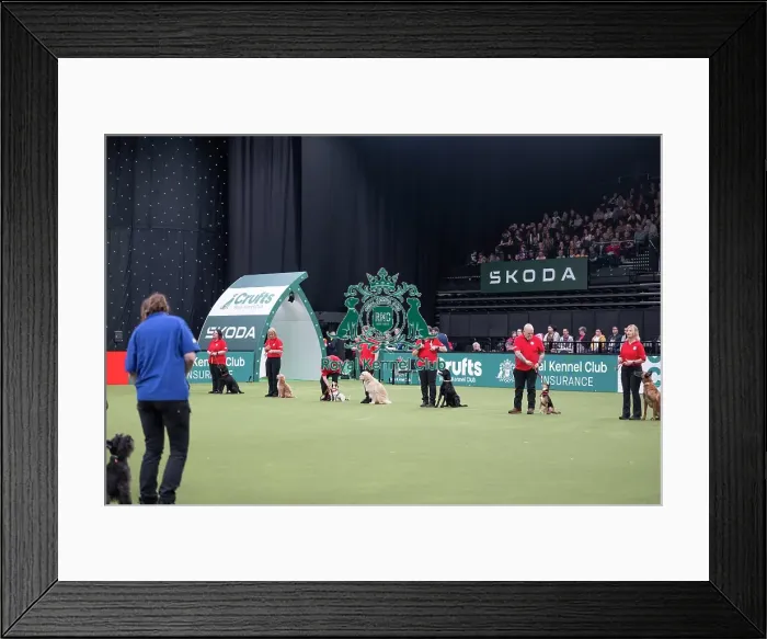 Framed Print : Good Citizen Dog Training Scheme Display Framed Print : Good Citizen Dog Training Scheme Display