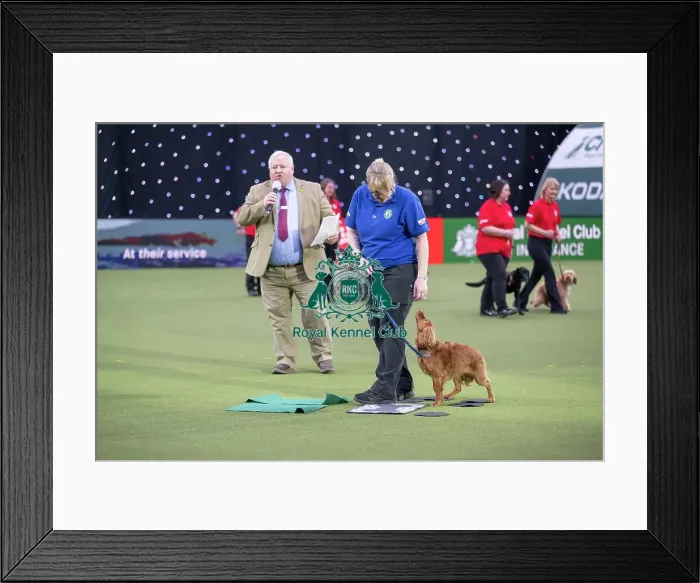 Framed Print : Good Citizen Dog Training Scheme Display Framed Print : Good Citizen Dog Training Scheme Display