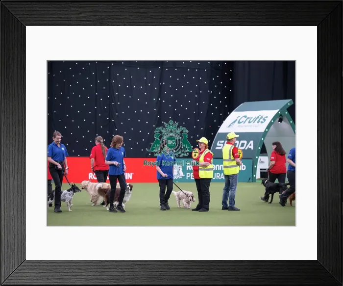 Framed Print : Good Citizen Dog Training Scheme Display Framed Print : Good Citizen Dog Training Scheme Display