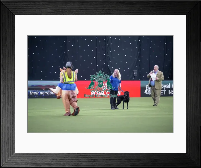 Framed Print : Good Citizen Dog Training Scheme Display Framed Print : Good Citizen Dog Training Scheme Display