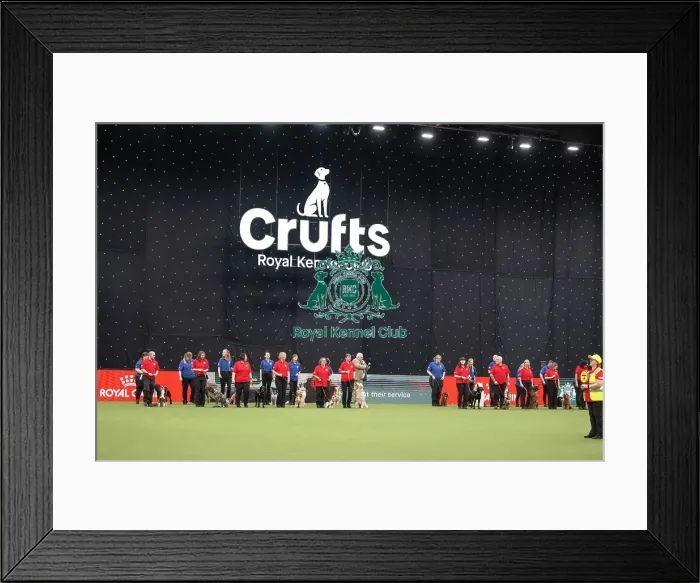 Framed Print : Good Citizen Dog Training Scheme Display Framed Print : Good Citizen Dog Training Scheme Display