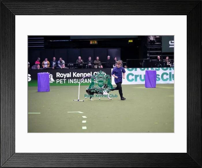 Framed Print : Hoopers Display Framed Print : Hoopers Display