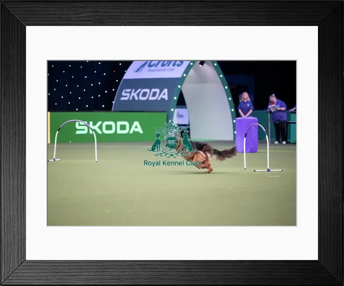 Framed Print : Hoopers Display Framed Print : Hoopers Display