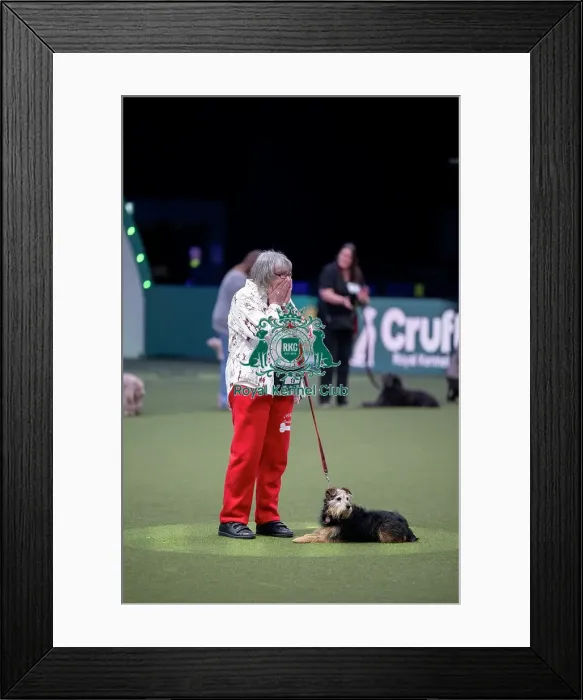 Framed Print : Scruffts final Framed Print : Scruffts final