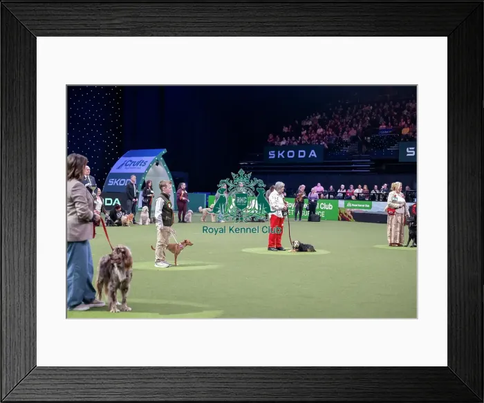 Framed Print : Scruffts final Framed Print : Scruffts final