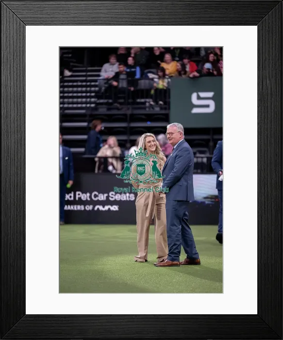 Framed Print : Scruffts final Framed Print : Scruffts final