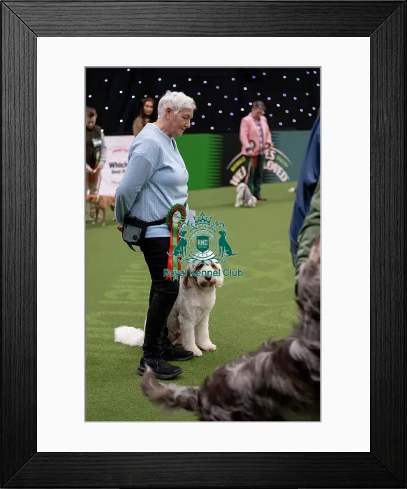 Framed Print : Scruffts final Framed Print : Scruffts final