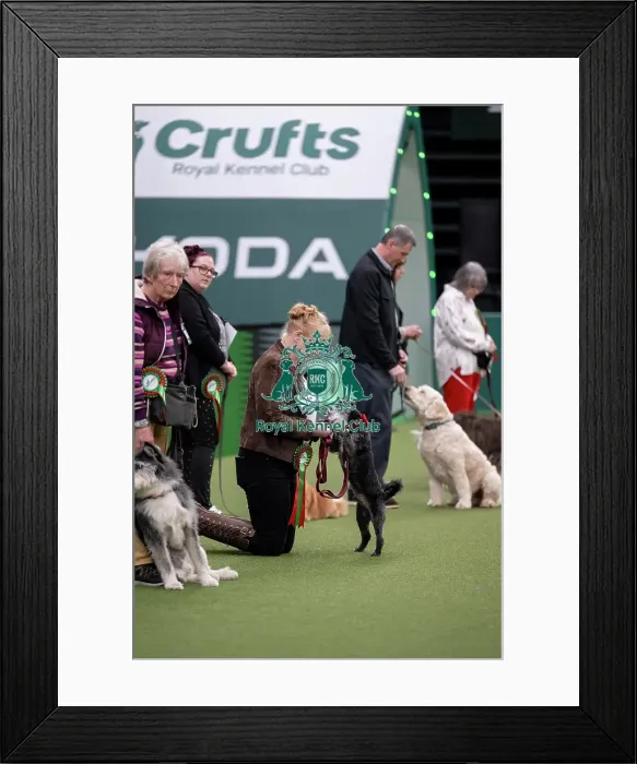 Framed Print : Scruffts final Framed Print : Scruffts final