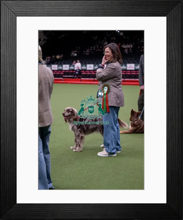 Framed Print : Scruffts final Framed Print : Scruffts final