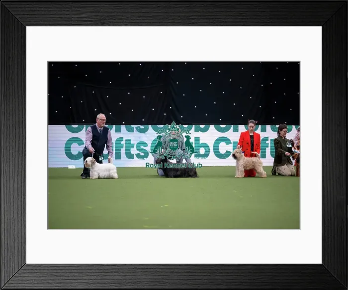Framed Print : Vulnerable Breeds Competition Final Framed Print : Vulnerable Breeds Competition Final
