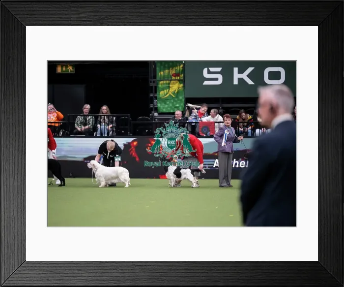 Framed Print : Vulnerable Breeds Competition Final Framed Print : Vulnerable Breeds Competition Final