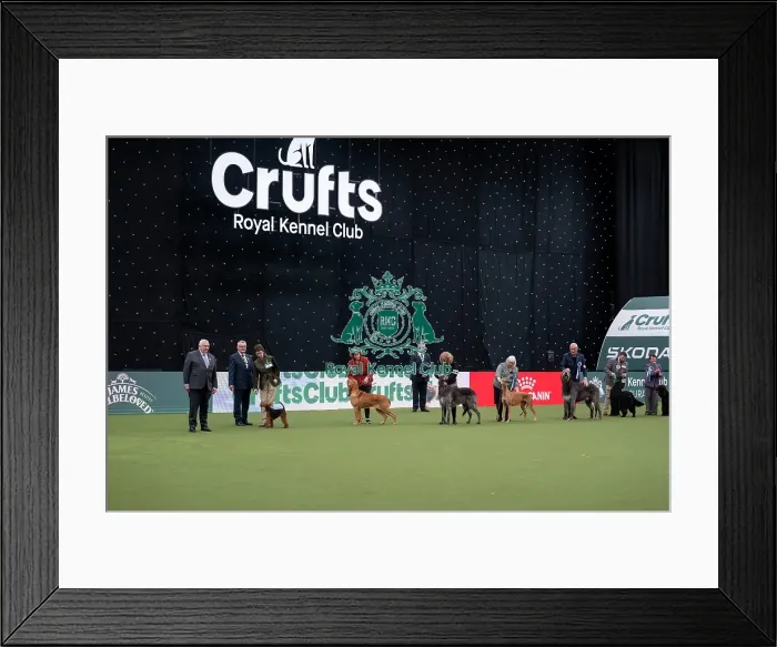 Framed Print : Vulnerable Breeds Competition Final Framed Print : Vulnerable Breeds Competition Final