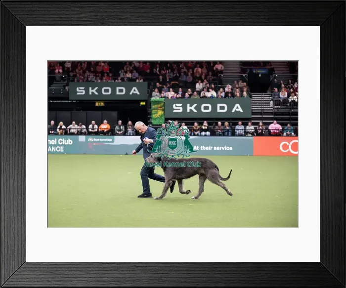 Framed Print : Vulnerable Breeds Competition Final Framed Print : Vulnerable Breeds Competition Final