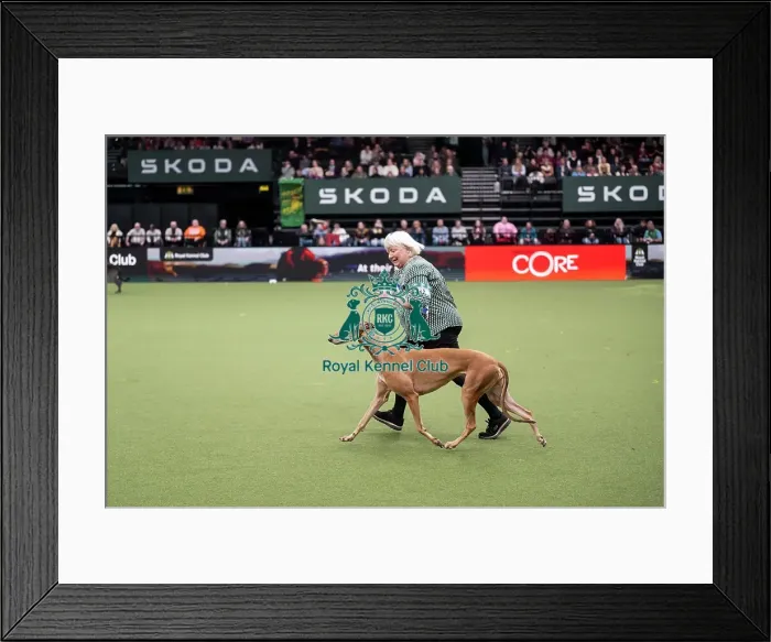 Framed Print : Vulnerable Breeds Competition Final Framed Print : Vulnerable Breeds Competition Final