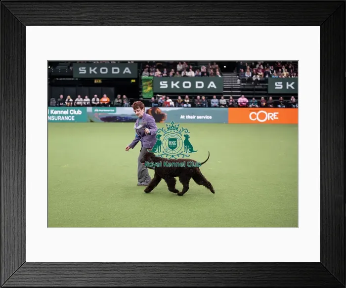 Framed Print : Vulnerable Breeds Competition Final