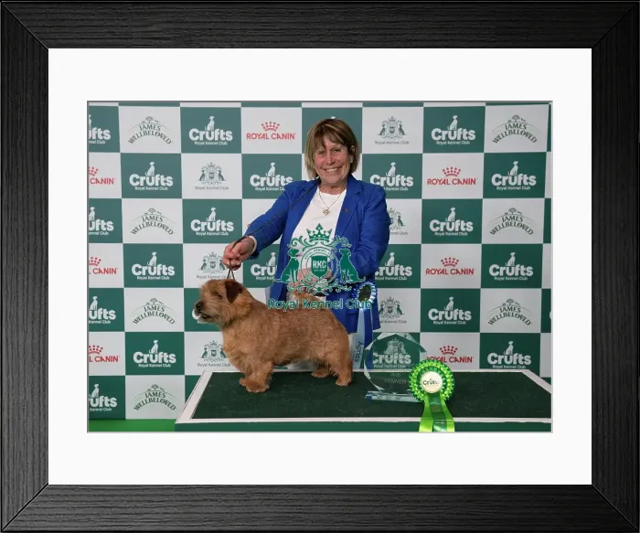 Framed Print : Ruth Gee and Easy Tiger winner of the Junior Warrant Competition today (05) Framed Print : Ruth Gee and Easy Tiger winner of the Junior Warrant Competition today (05)