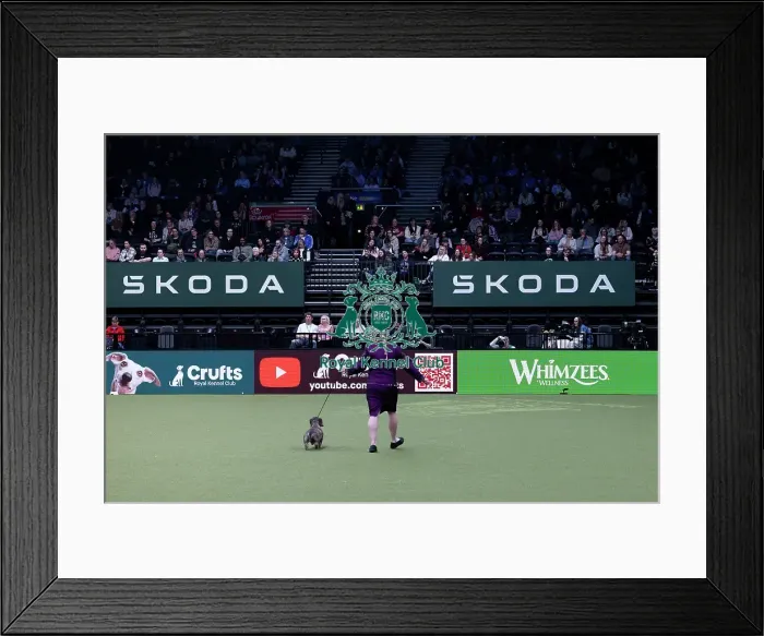 Framed Print : Junior Warrant Competition final