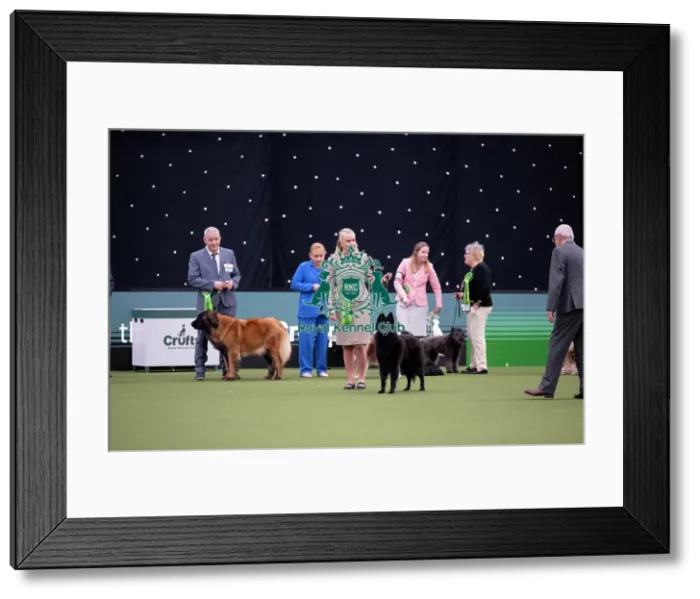 Framed Print : Pastoral Group judging