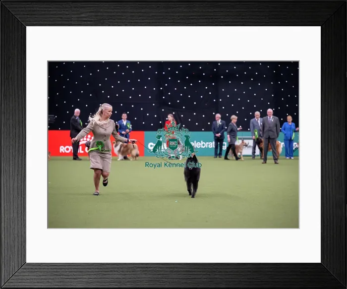Framed Print : Pastoral Group judging Framed Print : Pastoral Group judging