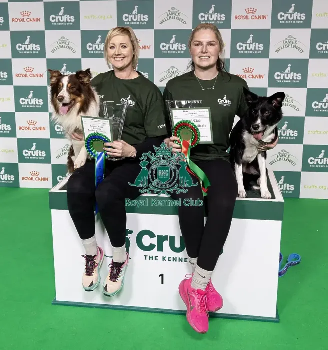 Framed Print : Agility Champions Large Final Runner up Kayleigh Hewit with Manicjax Summer like a sauna Framed Print : Agility Champions Large Final Runner up Kayleigh Hewit with Manicjax Summer like a sauna