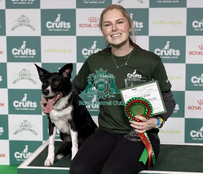Framed Print : Agility Champions Large Final Winner Naarah Cuddy with Runbye go Bananas Framed Print : Agility Champions Large Final Winner Naarah Cuddy with Runbye go Bananas