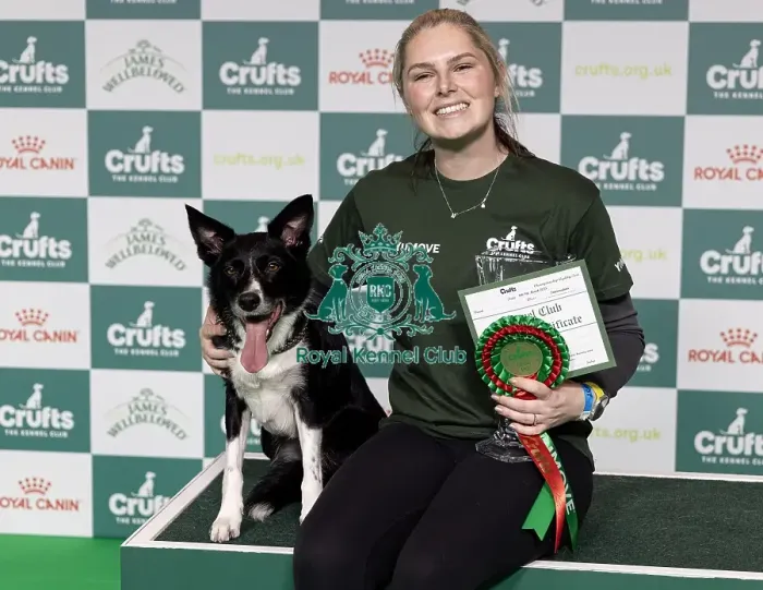 Framed Print : Agility Champions Large Final Winner Naarah Cuddy with Runbye go Bananas Framed Print : Agility Champions Large Final Winner Naarah Cuddy with Runbye go Bananas