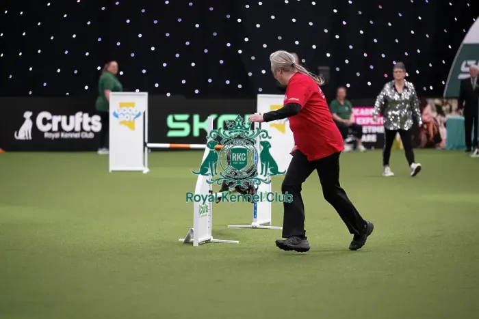 Framed Print : Agility Championships Small / Medium Final