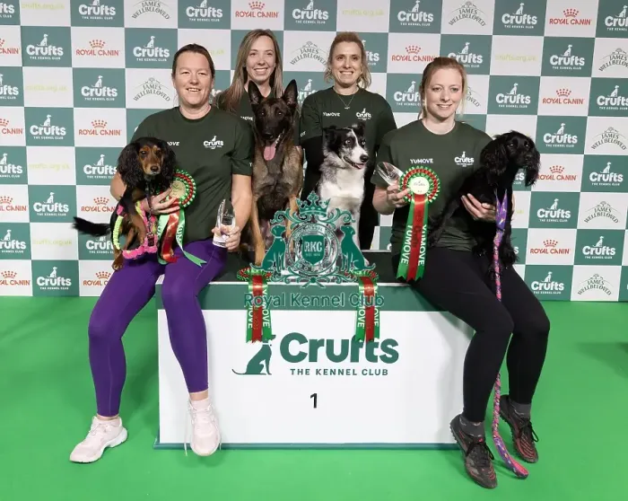 Framed Print : Agility Crufts Novice Cup Final - Agility Winners Framed Print : Agility Crufts Novice Cup Final - Agility Winners
