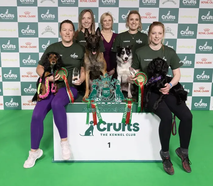 Framed Print : Agility Crufts Novice Cup Final - Agility Winners Framed Print : Agility Crufts Novice Cup Final - Agility Winners