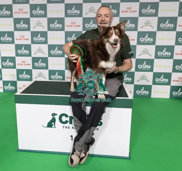Framed Print : Agility Crufts Novice Cup Final - LargeOverall winner Mark Douglas with Montana Fly Guy Framed Print : Agility Crufts Novice Cup Final - LargeOverall winner Mark Douglas with Montana Fly Guy