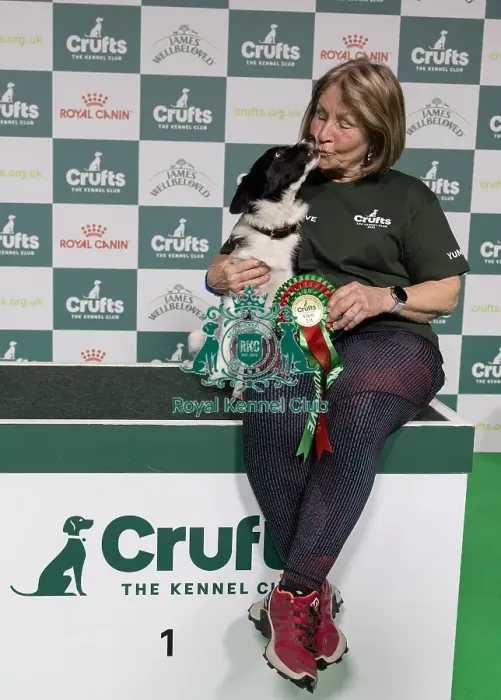 Framed Print : Agility Crufts Novice Cup Final - Medium Overall winner Jo Adams with Devonduet Game on Taboo Framed Print : Agility Crufts Novice Cup Final - Medium Overall winner Jo Adams with Devonduet Game on Taboo