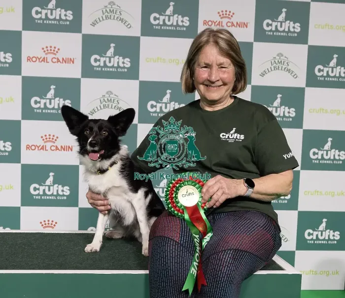 Framed Print : Agility Crufts Novice Cup Final - Medium Overall winner Jo Adams with Devonduet Game on Taboo