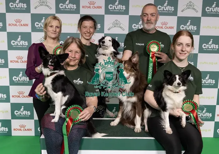 Framed Print : Agility Crufts Novice Cup Final - Medium Overall winner Jo Adams & Devonduet Game on Taboo Framed Print : Agility Crufts Novice Cup Final - Medium Overall winner Jo Adams & Devonduet Game on Taboo