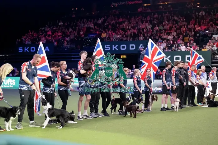 Framed Print : Agility Team GB Parade