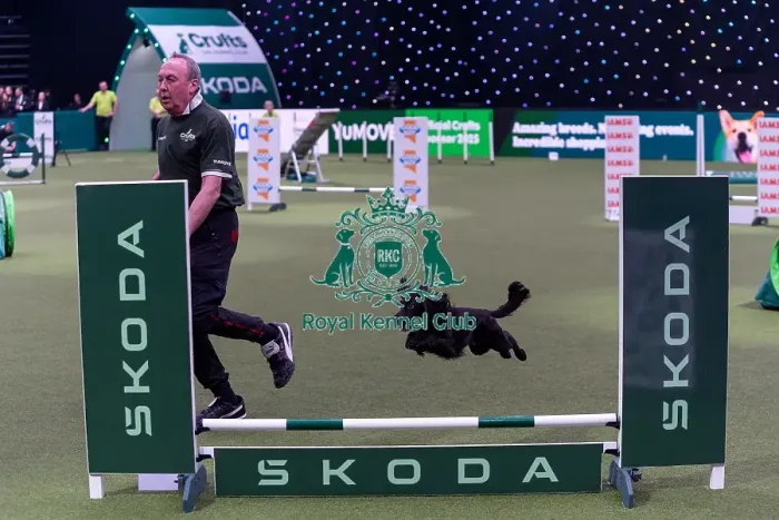 Framed Print : Alan Bray with Ticita, Competing in the Small Championship Agility Final