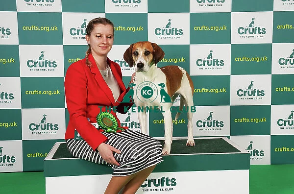 Alysha Branchflower from Bridgewater with Havoc, a Harrier, which was the Best of Breed winner today (Saturday 11. 03. 23), the third day of Crufts 2023, at the NEC Birmingham