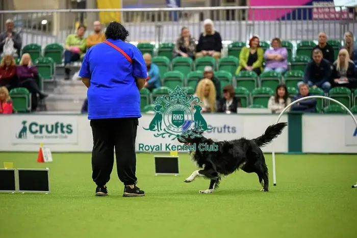 Framed Print : Amy Jackson from Scotland with Duke