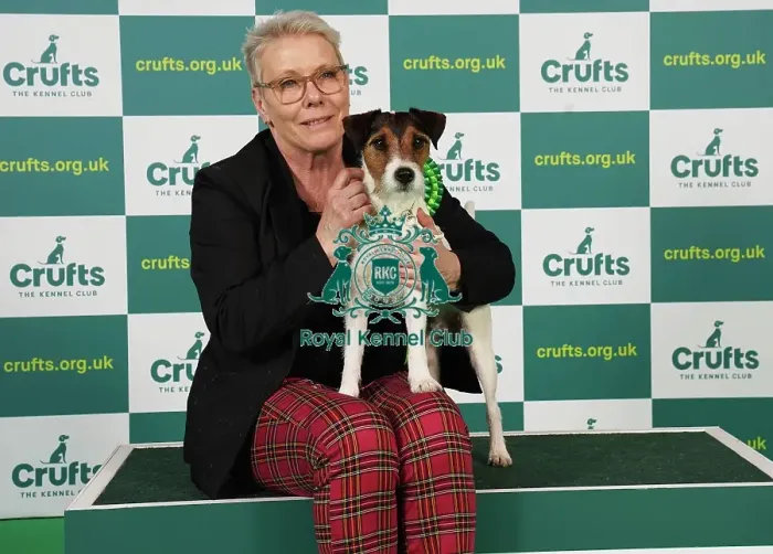 Framed Print : Anne Karlsson from Sweden with Scott, a Parson Russell Terrier, which was the Best of Breed winner today (Saturday 11. 03. 23), the third day of Crufts 2023, at the NEC Birmingham Framed Print : Anne Karlsson from Sweden with Scott, a Parson Russell Terrier, which was the Best of Breed winner today (Saturday 11. 03. 23), the third day of Crufts 2023, at the NEC Birmingham