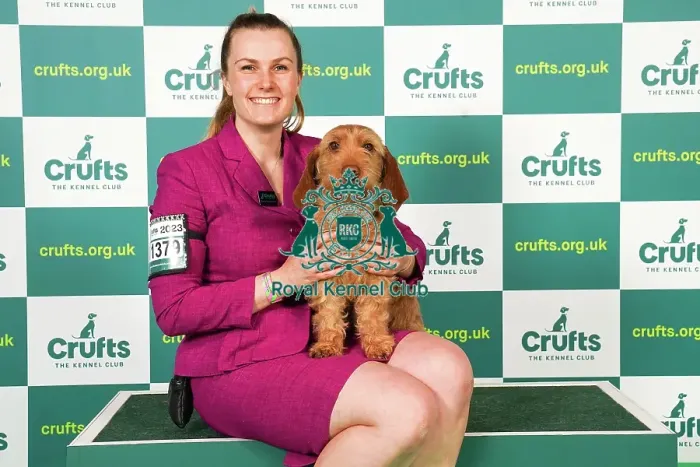 Framed Print : Antonia Leech from Wiltshire with Cushla, a Basset Fauve de Bretagne, which was the Best of Breed winner today (Saturday 11. 03. 23), the third day of Crufts 2023, at the NEC Birmingham Framed Print : Antonia Leech from Wiltshire with Cushla, a Basset Fauve de Bretagne, which was the Best of Breed winner today (Saturday 11. 03. 23), the third day of Crufts 2023, at the NEC Birmingham