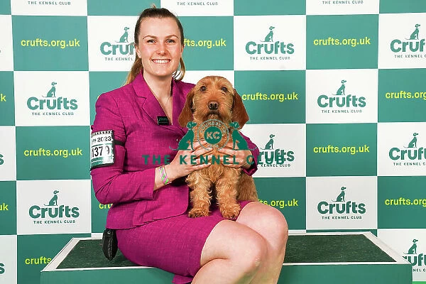 Antonia Leech from Wiltshire with Cushla, a Basset Fauve de Bretagne, which was the Best of Breed winner today (Saturday 11. 03. 23), the third day of Crufts 2023, at the NEC Birmingham